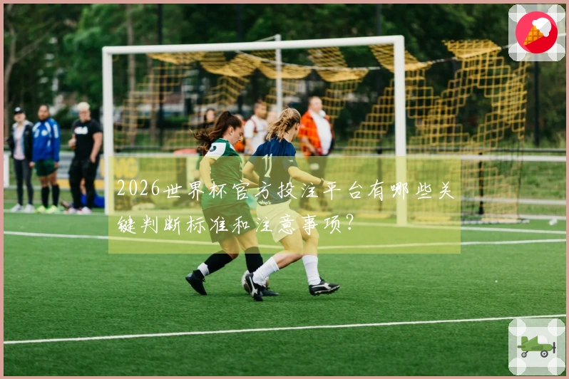 2026世界杯官方投注平台有哪些关键判断标准和注意事项？