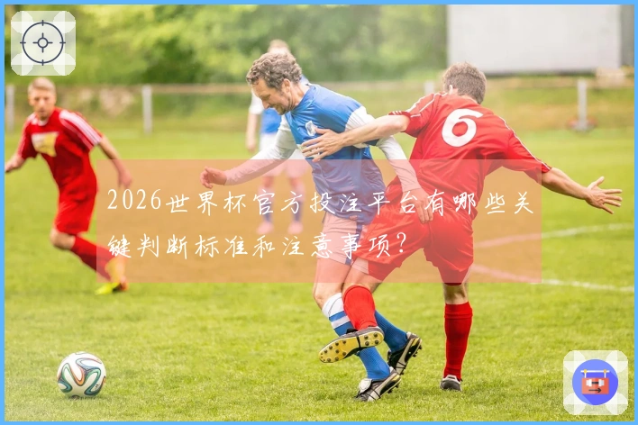 2026世界杯官方投注平台有哪些关键判断标准和注意事项？