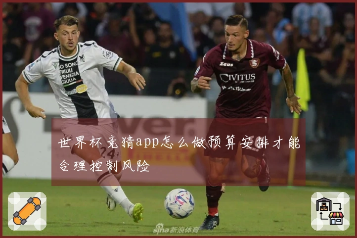 世界杯竞猜app怎么做预算安排才能合理控制风险